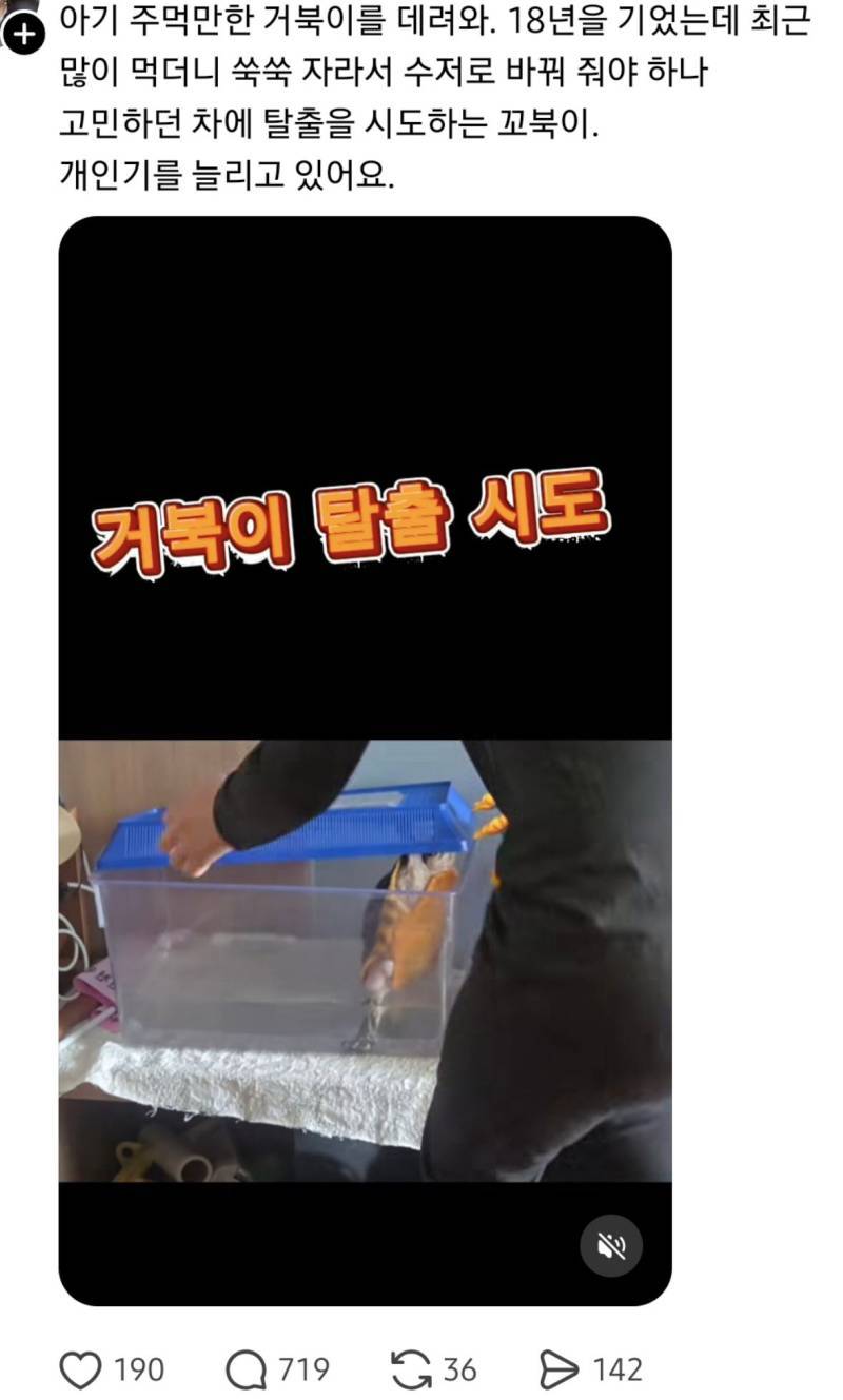 오늘 스레드 난리난 글의 내용을 보여주는 이미지
