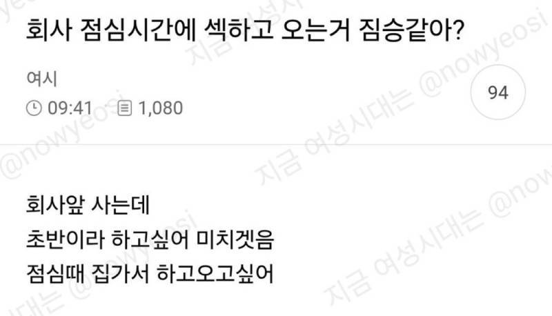 회사 점심시간에 @하고 오는거 짐승같아?.nys의 내용을 보여주는 이미지