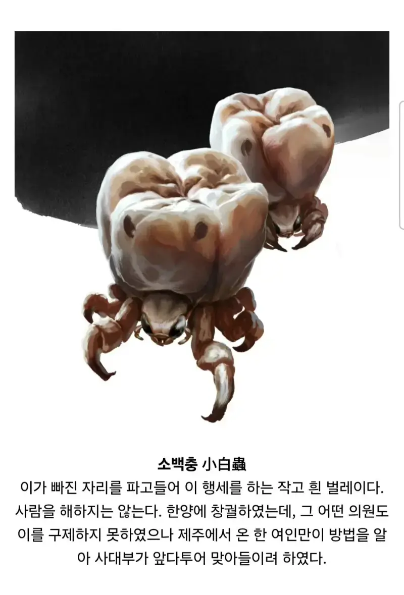 조선 요괴 100가지를 그린 사람의 내용을 보여주는 이미지 관련 이미지 31