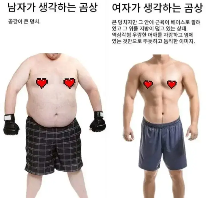 요즘 착각하는 사람들이 생기는거 같은 곰상의 내용을 보여주는 이미지 관련 이미지 2