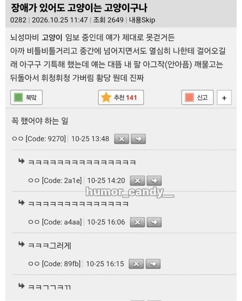 아파도 고양이는 고양이다..의 내용을 보여주는 이미지