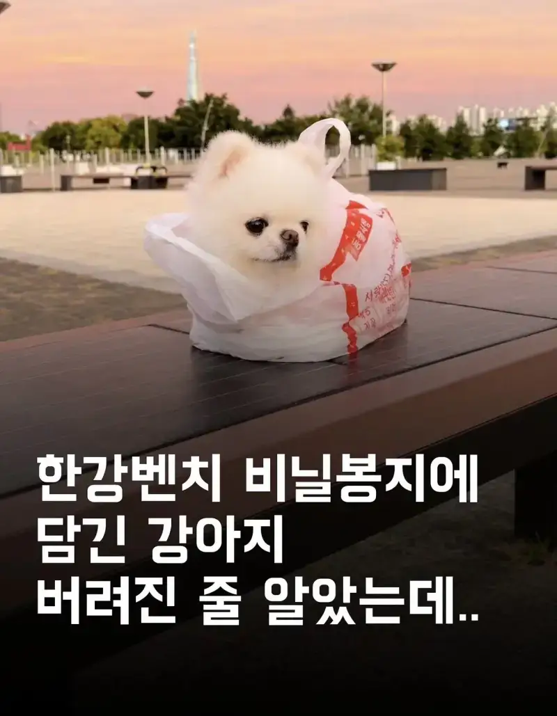1793164314514309.webp