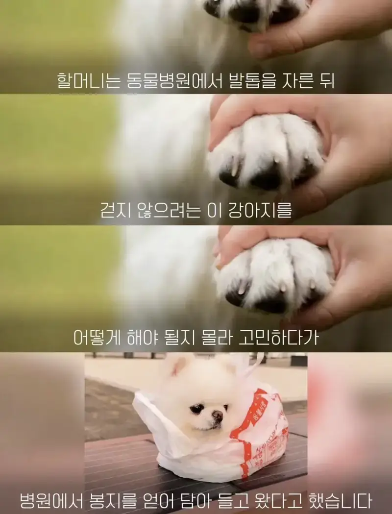 1793164314555180.webp