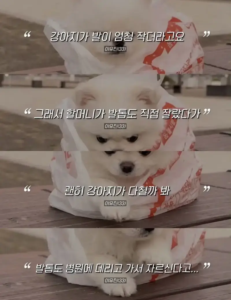 1793164314161000.webp