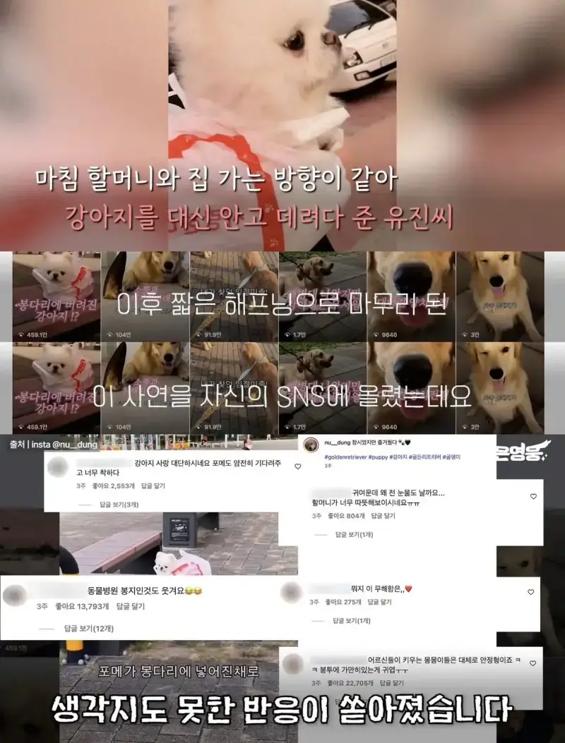 1793164314346843.webp