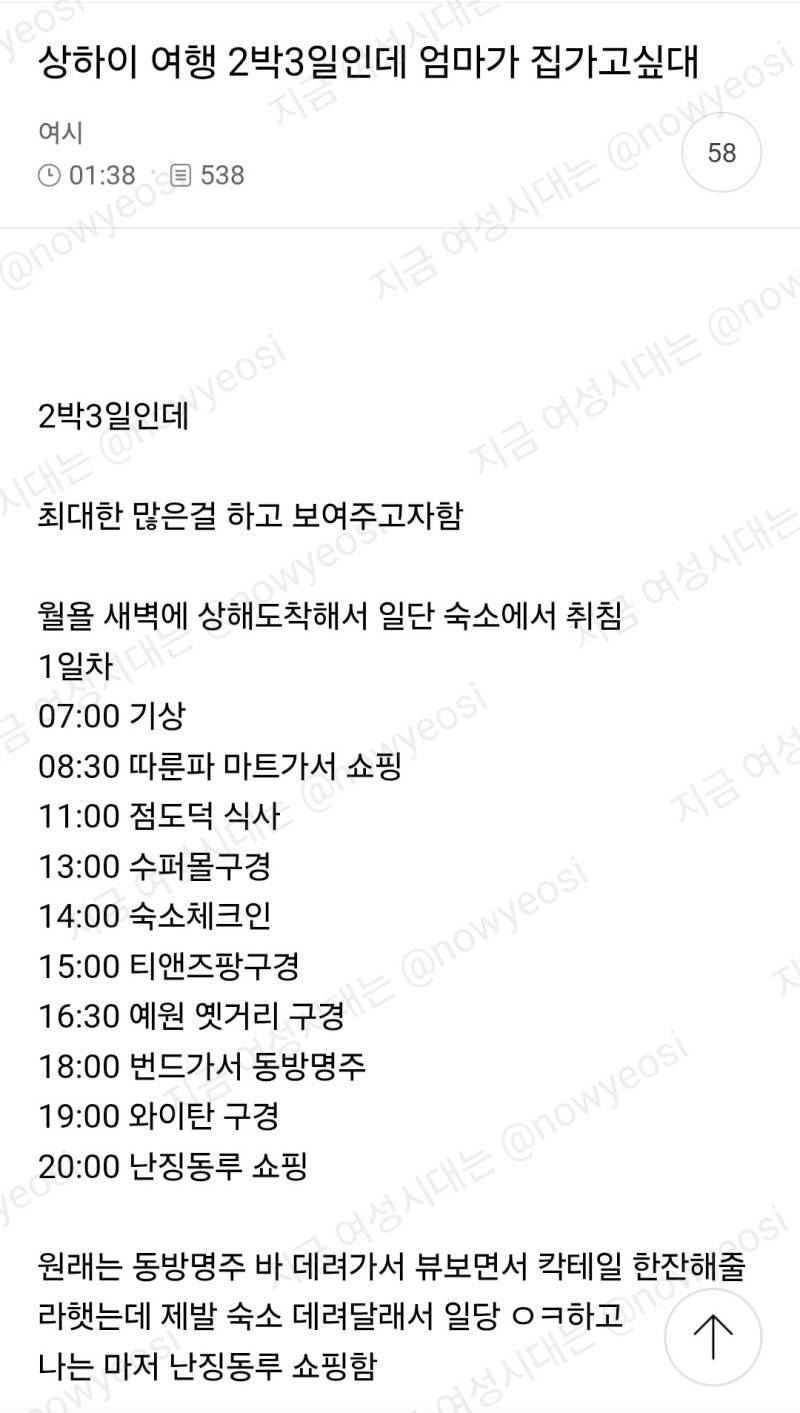 상하이 여행 2박 3일인데 엄마가 집가고싶대의 내용을 보여주는 이미지