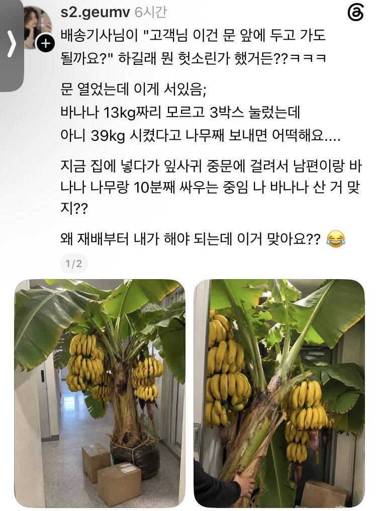🍌 바나나 13kg 3박스 택배 주문하면의 내용을 보여주는 이미지