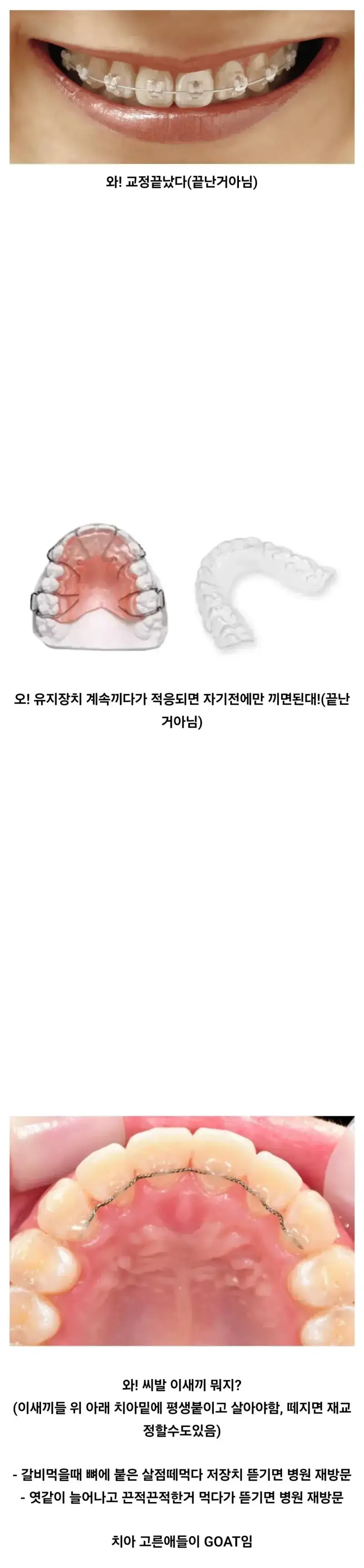 대부분 모르는 치아 교정인들의 삶의 내용을 보여주는 이미지