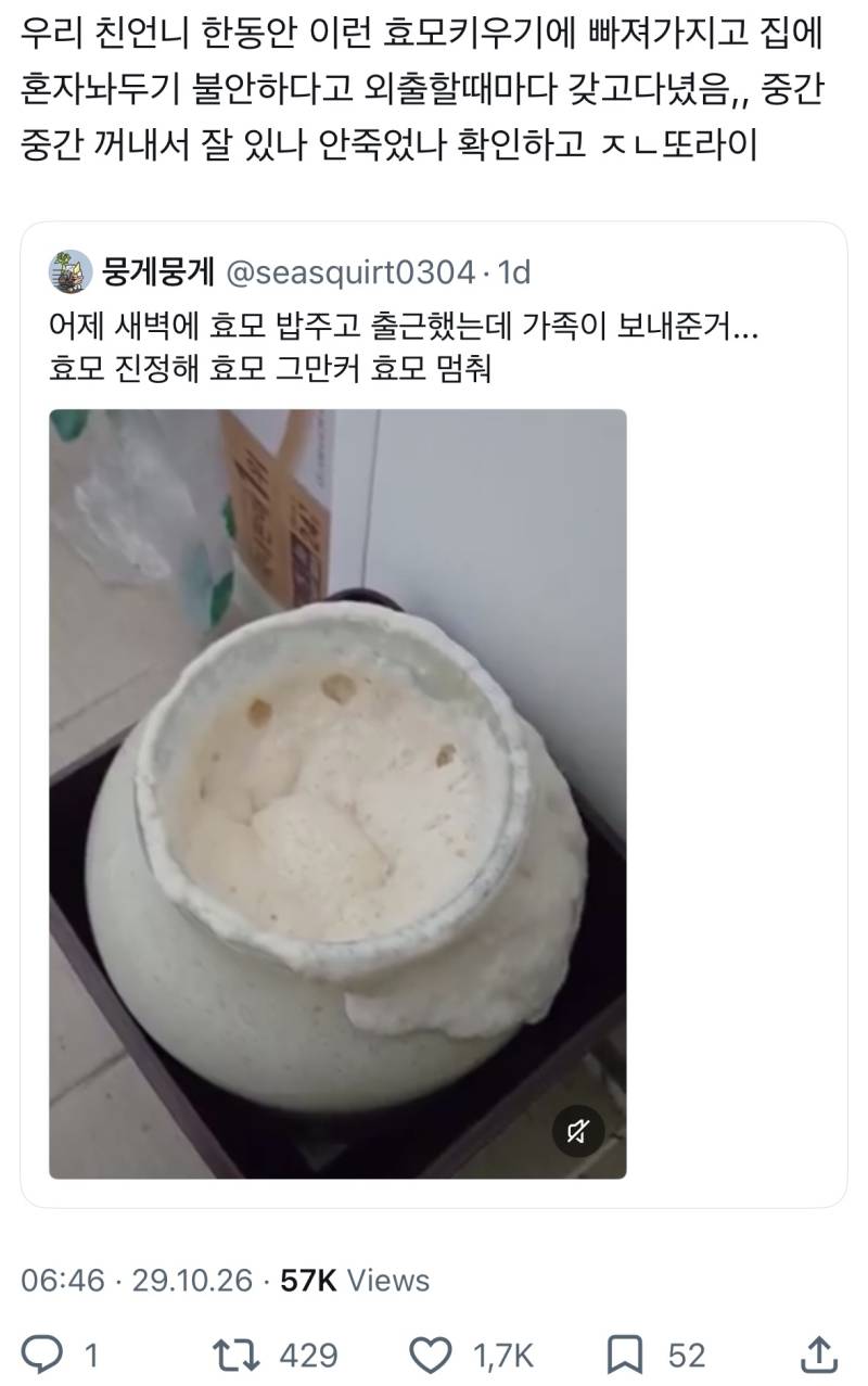 어제 새벽에 효모 밥주고 출근했는데 가족이 보내준거...의 내용을 보여주는 이미지