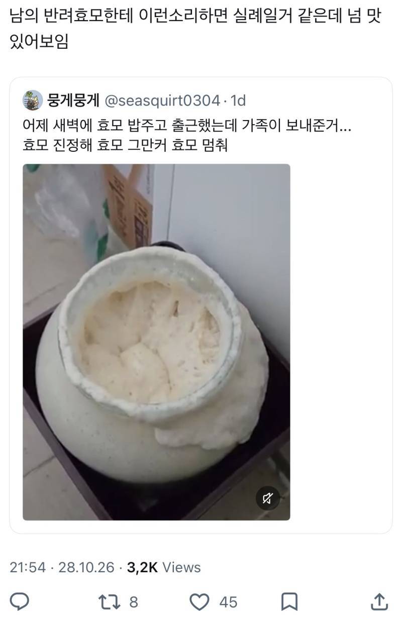 어제 새벽에 효모 밥주고 출근했는데 가족이 보내준거...의 내용을 보여주는 이미지 관련 이미지 2