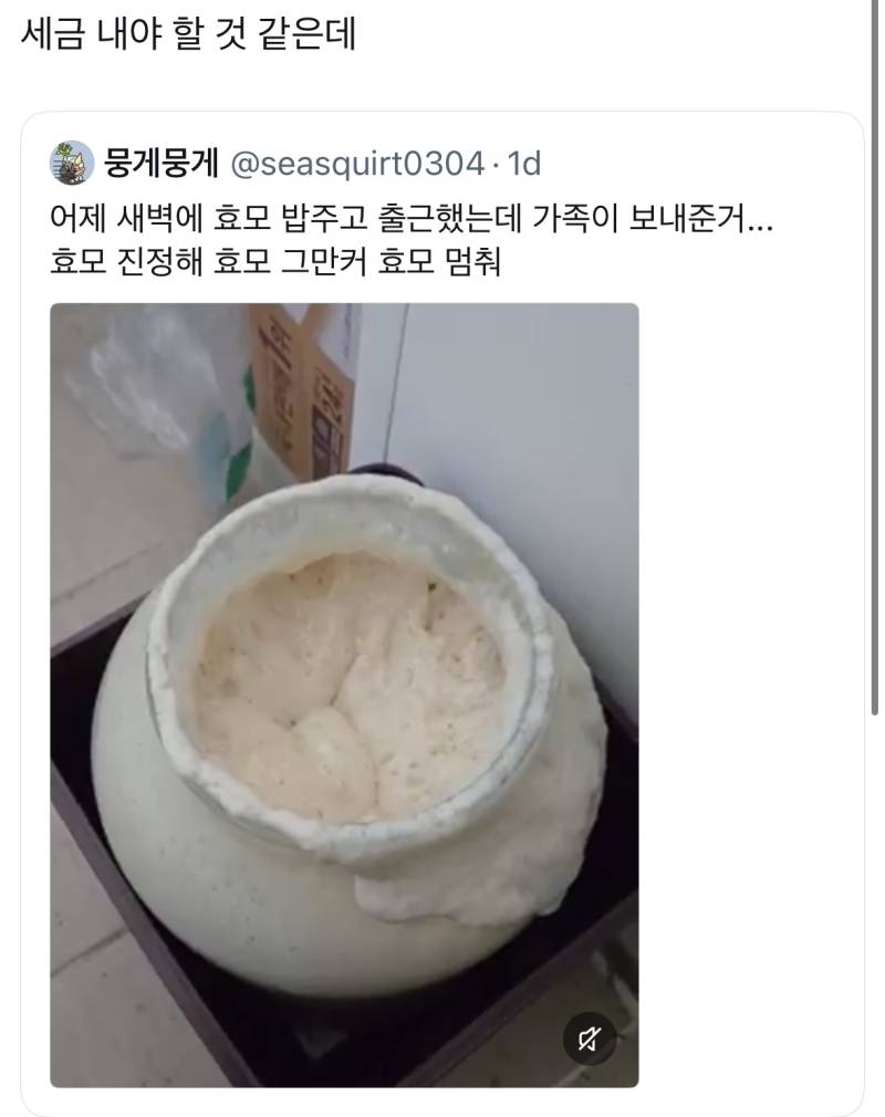 어제 새벽에 효모 밥주고 출근했는데 가족이 보내준거...의 내용을 보여주는 이미지 관련 이미지 3
