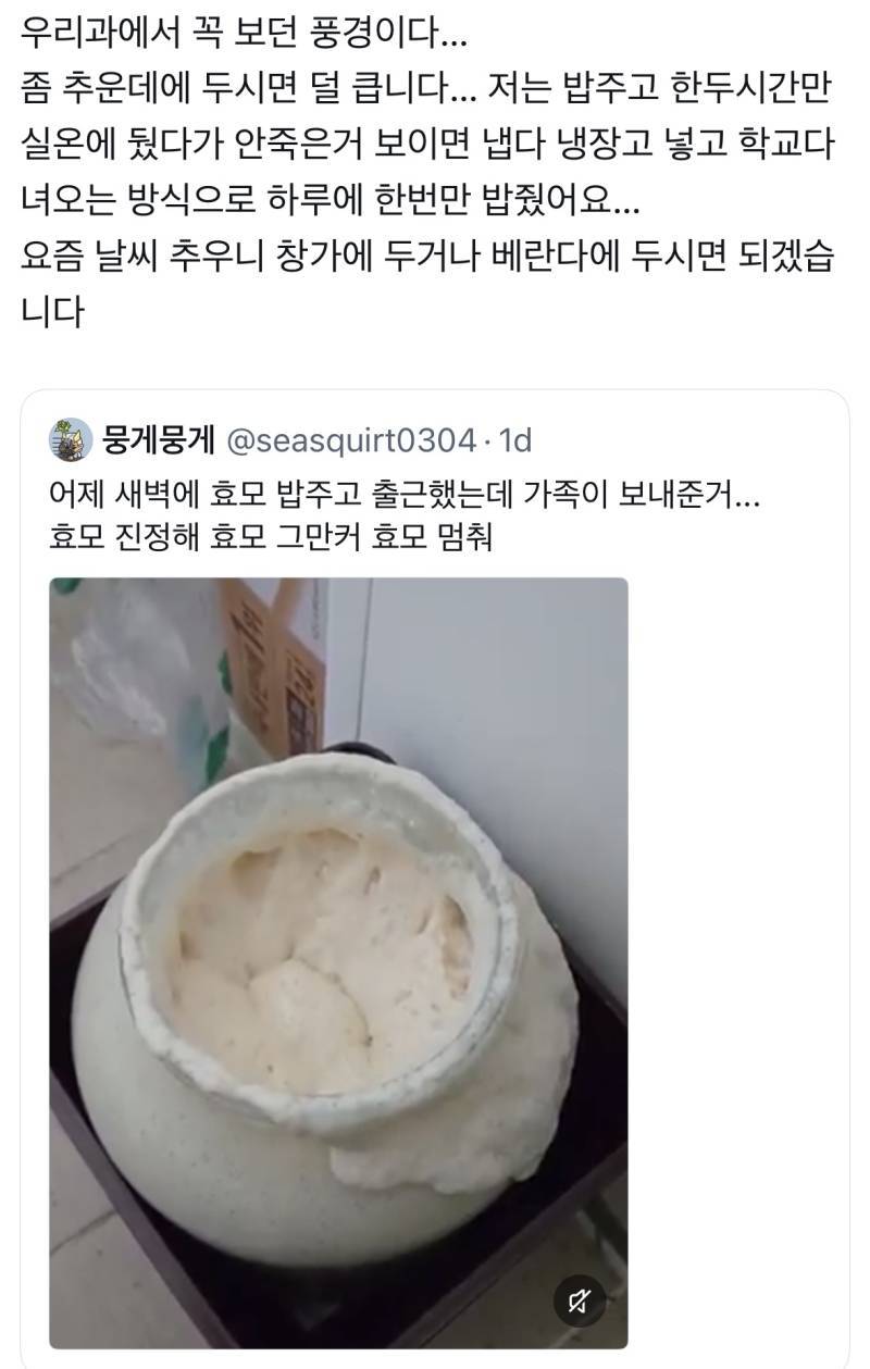 어제 새벽에 효모 밥주고 출근했는데 가족이 보내준거...의 내용을 보여주는 이미지 관련 이미지 4