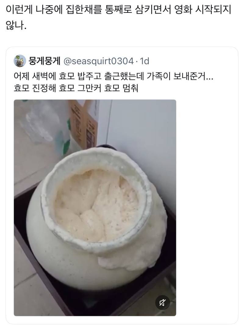 어제 새벽에 효모 밥주고 출근했는데 가족이 보내준거...의 내용을 보여주는 이미지 관련 이미지 5