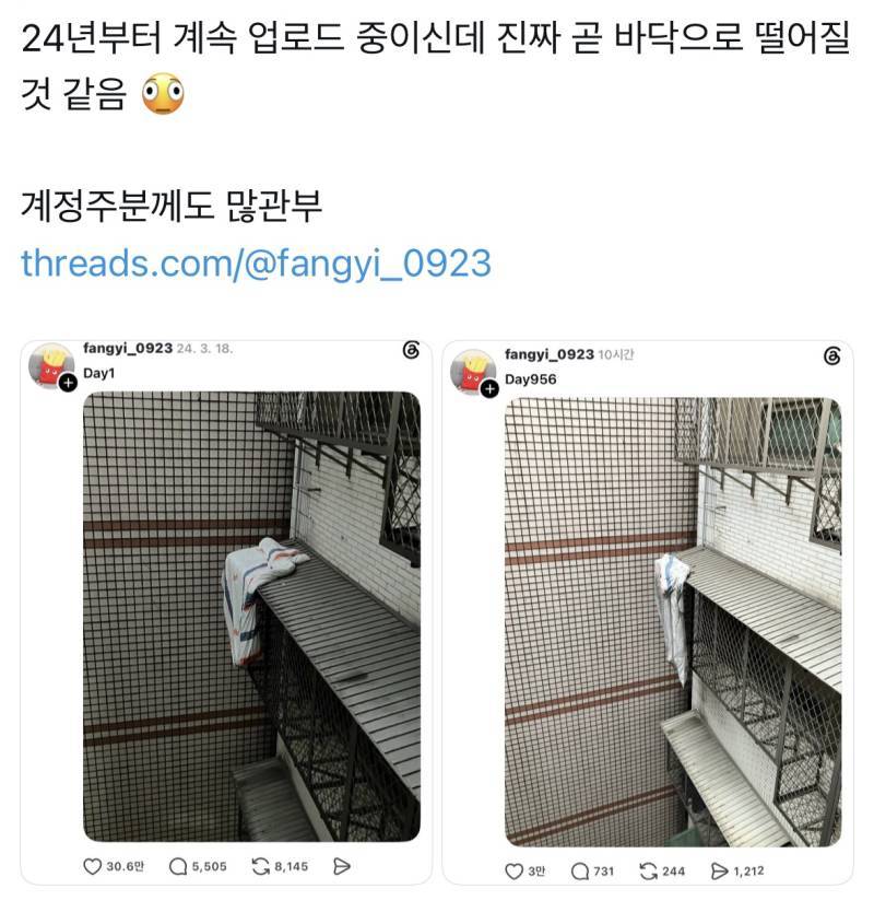 현재 대만 스레드 내 화제의 계정의 내용을 보여주는 이미지 관련 이미지 2