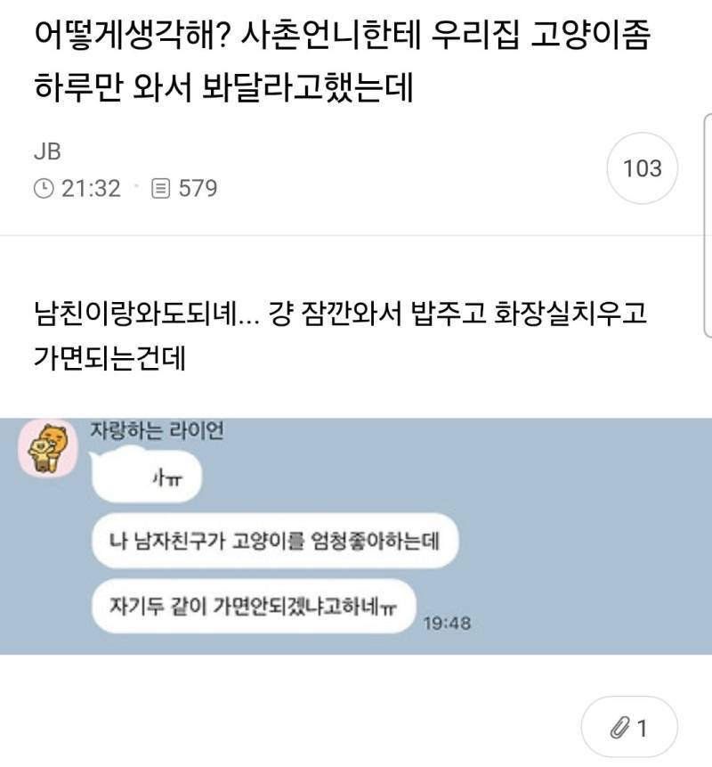 사촌언니한테 우리집 고양이좀 하루만 와서 봐달라고했는데의 내용을 보여주는 이미지