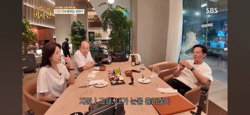 다모 폐인 관짝에서 일어나는 소리 들림의 내용을 보여주는 이미지 관련 이미지 4