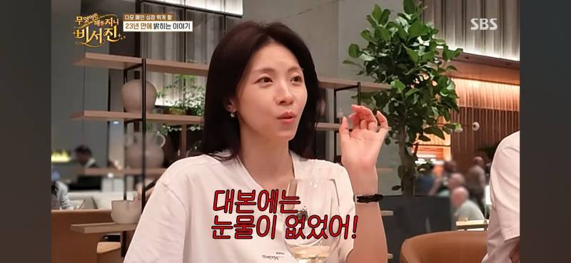 다모 폐인 관짝에서 일어나는 소리 들림의 내용을 보여주는 이미지 관련 이미지 5