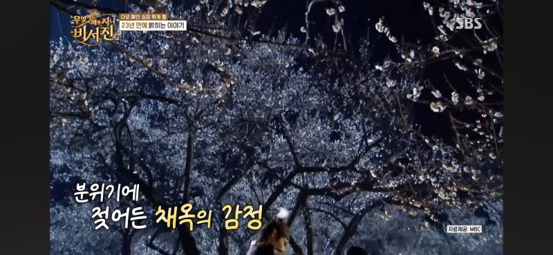 다모 폐인 관짝에서 일어나는 소리 들림의 내용을 보여주는 이미지 관련 이미지 8