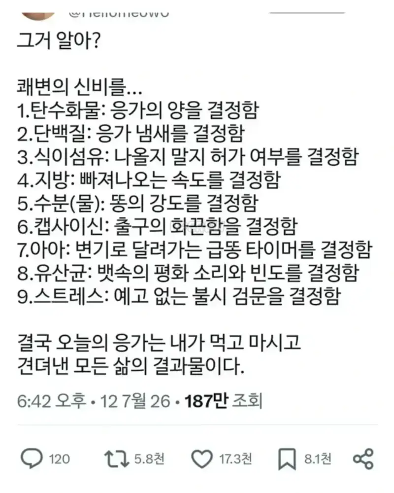 대변의 신비의 내용을 보여주는 이미지