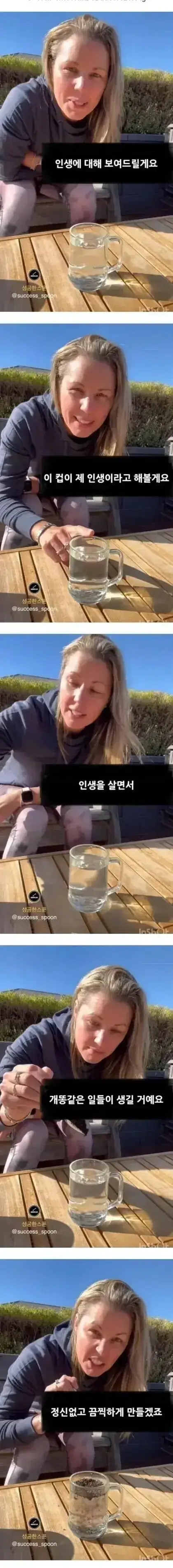서양 누나의 인생 조언의 내용을 보여주는 이미지