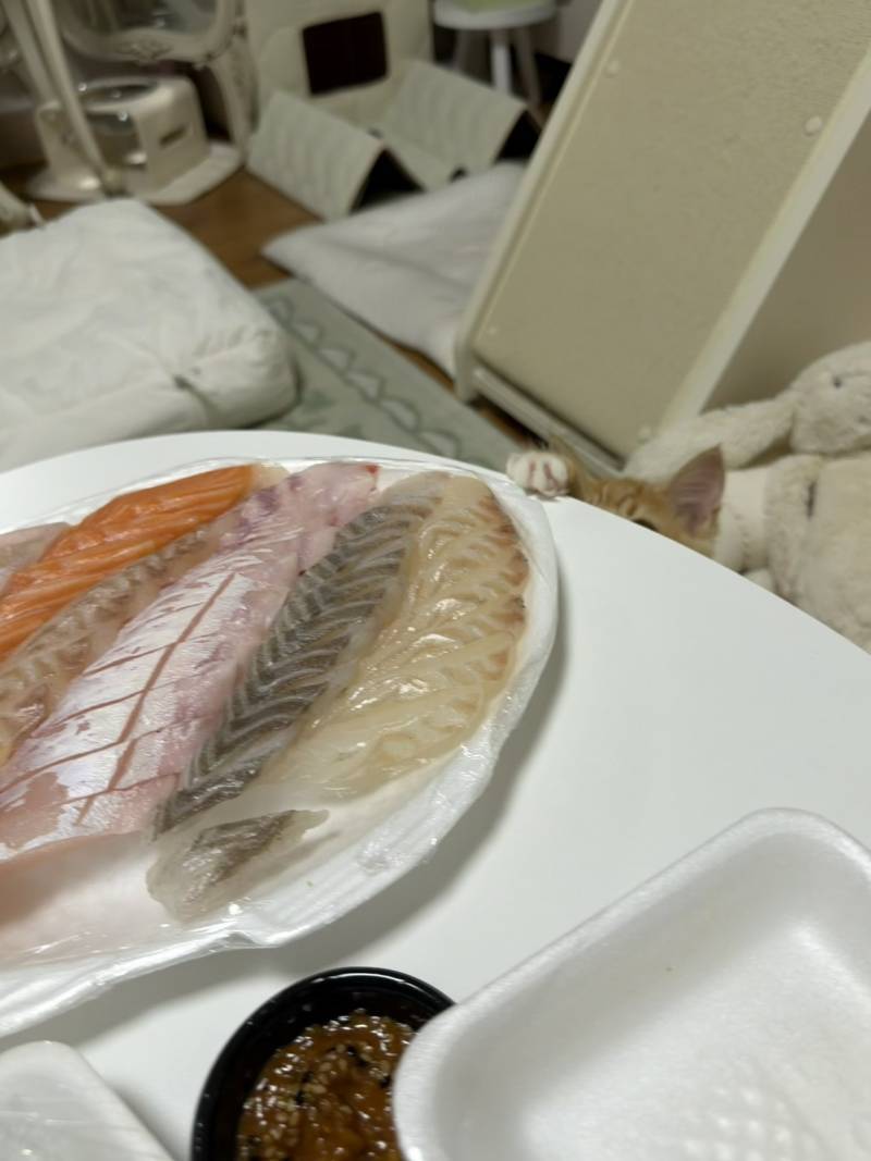 저러면 안 보이는줄 아나 봄ㅋㅋ 가시라고요;;의 내용을 보여주는 이미지