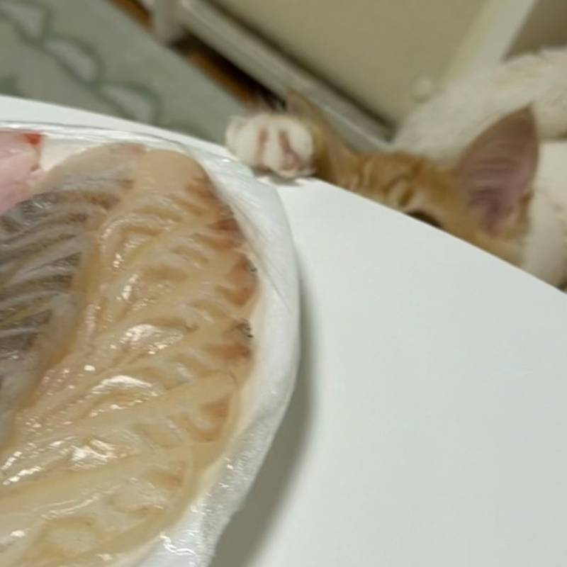 저러면 안 보이는줄 아나 봄ㅋㅋ 가시라고요;;의 내용을 보여주는 이미지 관련 이미지 2