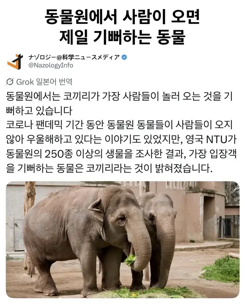 동물원에 사람이 오면 제일 기뻐하는 동물의 내용을 보여주는 이미지