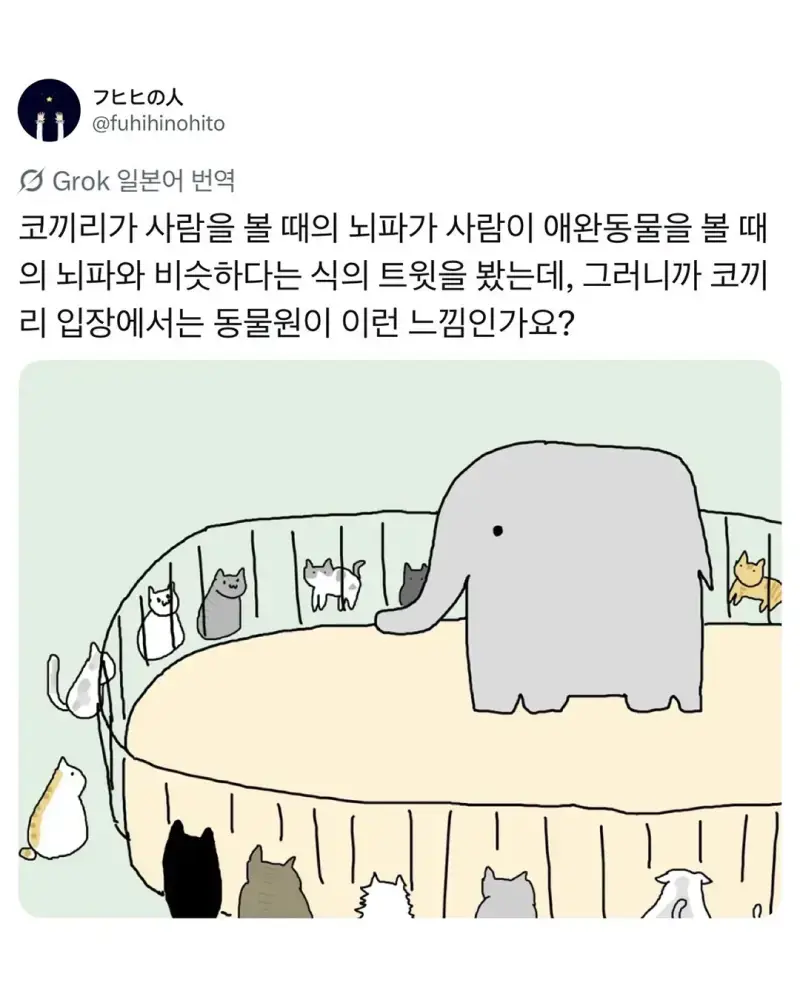 동물원에 사람이 오면 제일 기뻐하는 동물의 내용을 보여주는 이미지 관련 이미지 2