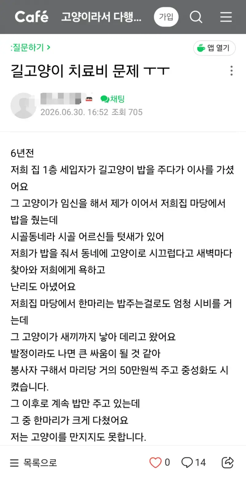 길고양이 치료비 문제ㅜㅜ의 내용을 보여주는 이미지