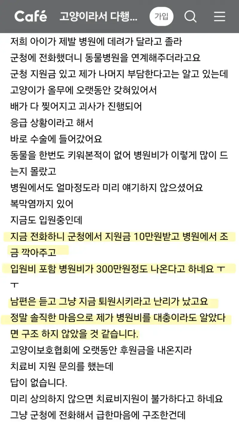 길고양이 치료비 문제ㅜㅜ의 내용을 보여주는 이미지 관련 이미지 2