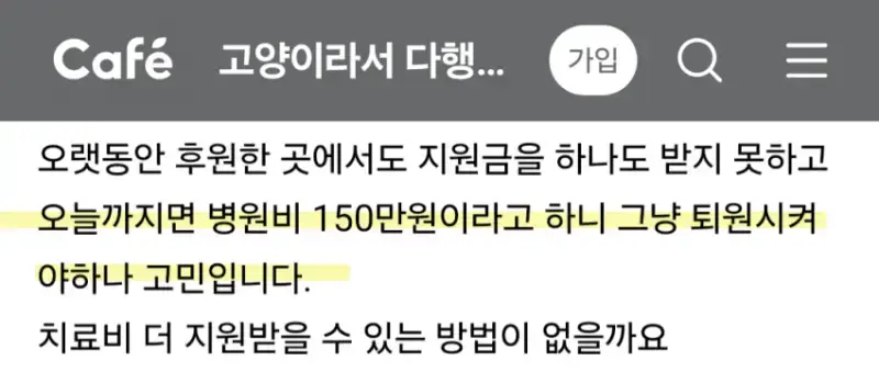 길고양이 치료비 문제ㅜㅜ의 내용을 보여주는 이미지 관련 이미지 3