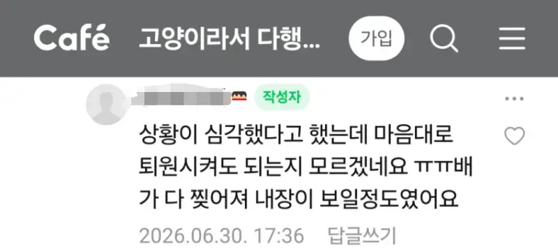 길고양이 치료비 문제ㅜㅜ의 내용을 보여주는 이미지 관련 이미지 4