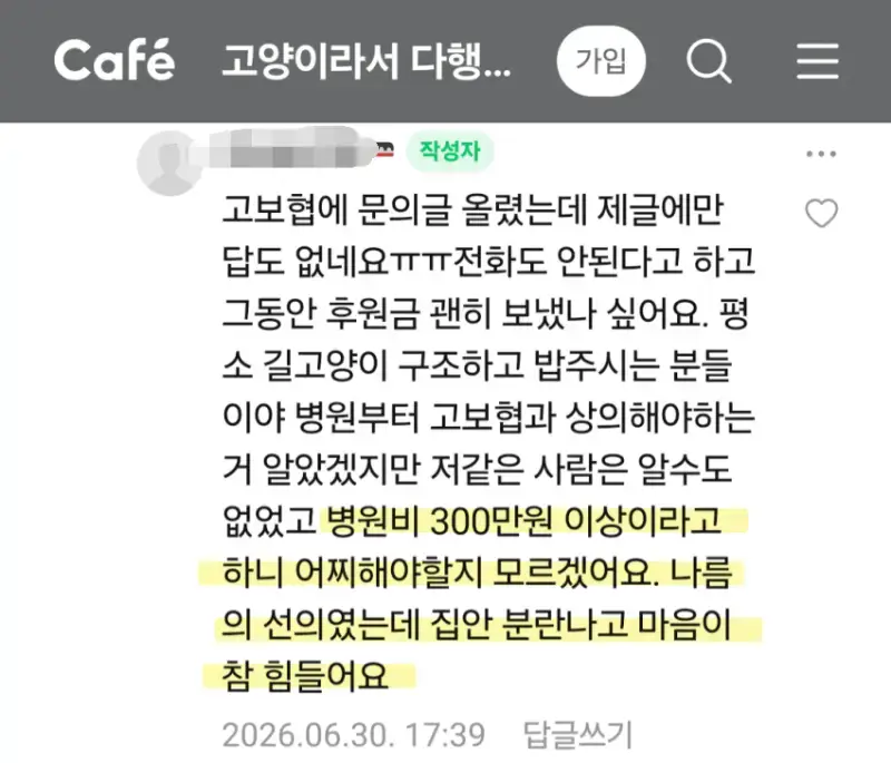 길고양이 치료비 문제ㅜㅜ의 내용을 보여주는 이미지 관련 이미지 5