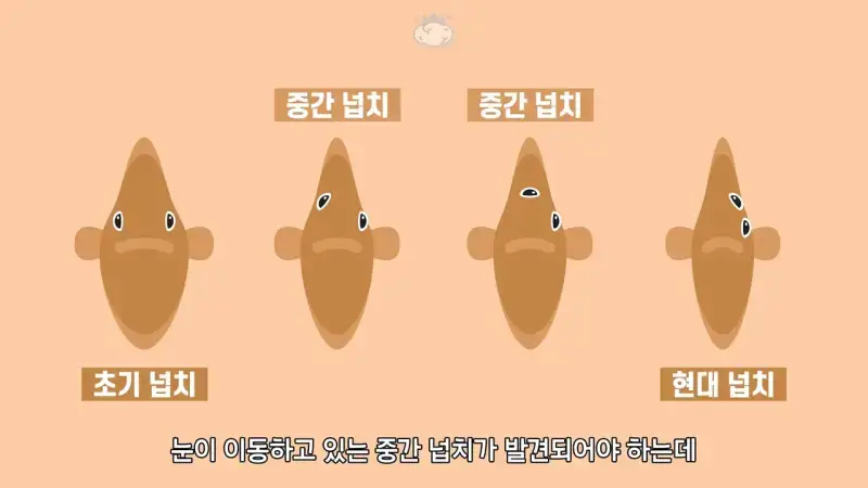 e5378e508fc45deee9525feebd56f21049ce0d3778a37e25a8db343e4673b12e.webp