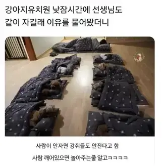 유치원 선생님이 낮잠자는 이유의 내용을 보여주는 이미지