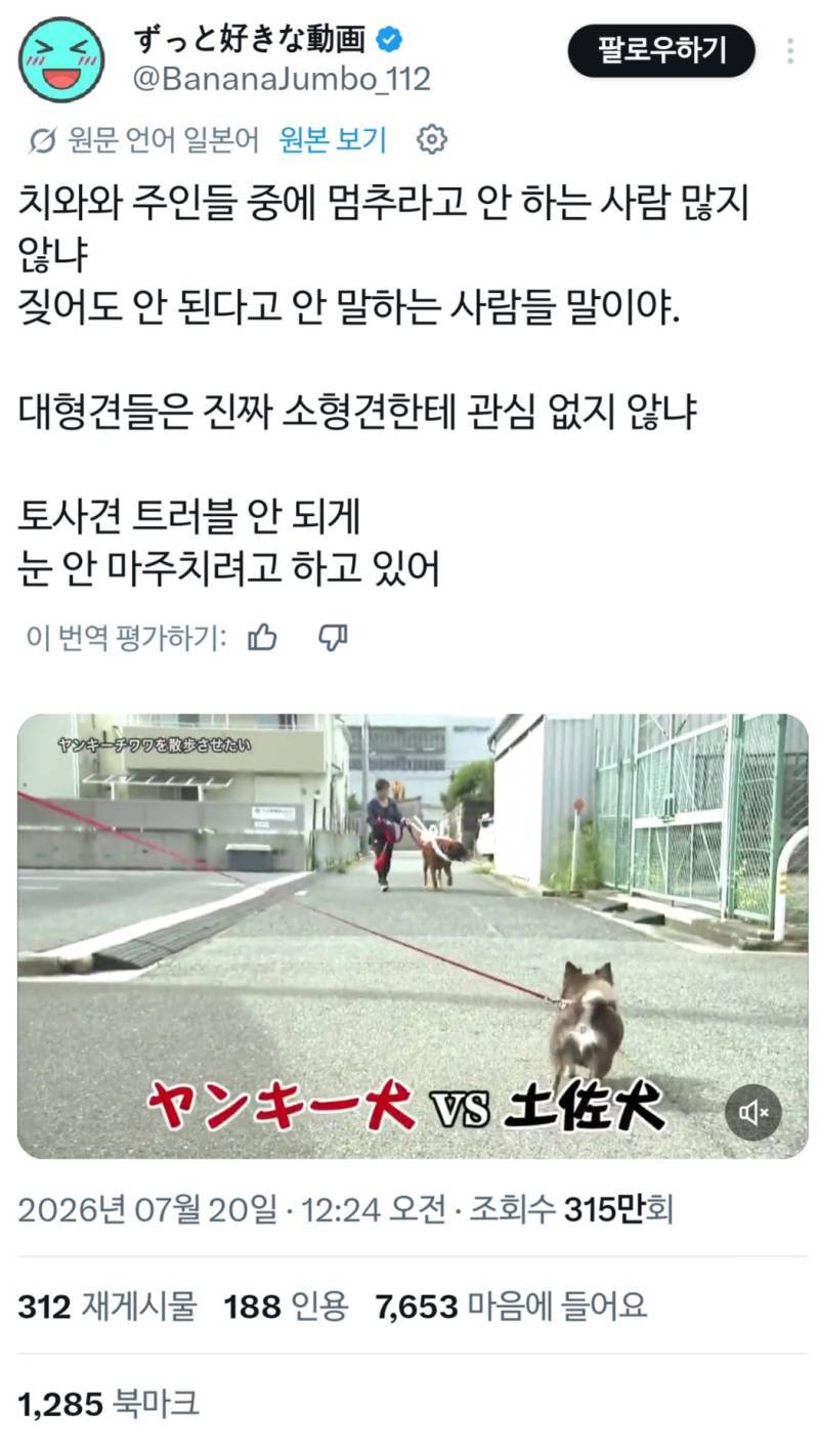 소형견 주인은 너무 낙천적인 사람이 많다의 내용을 보여주는 이미지