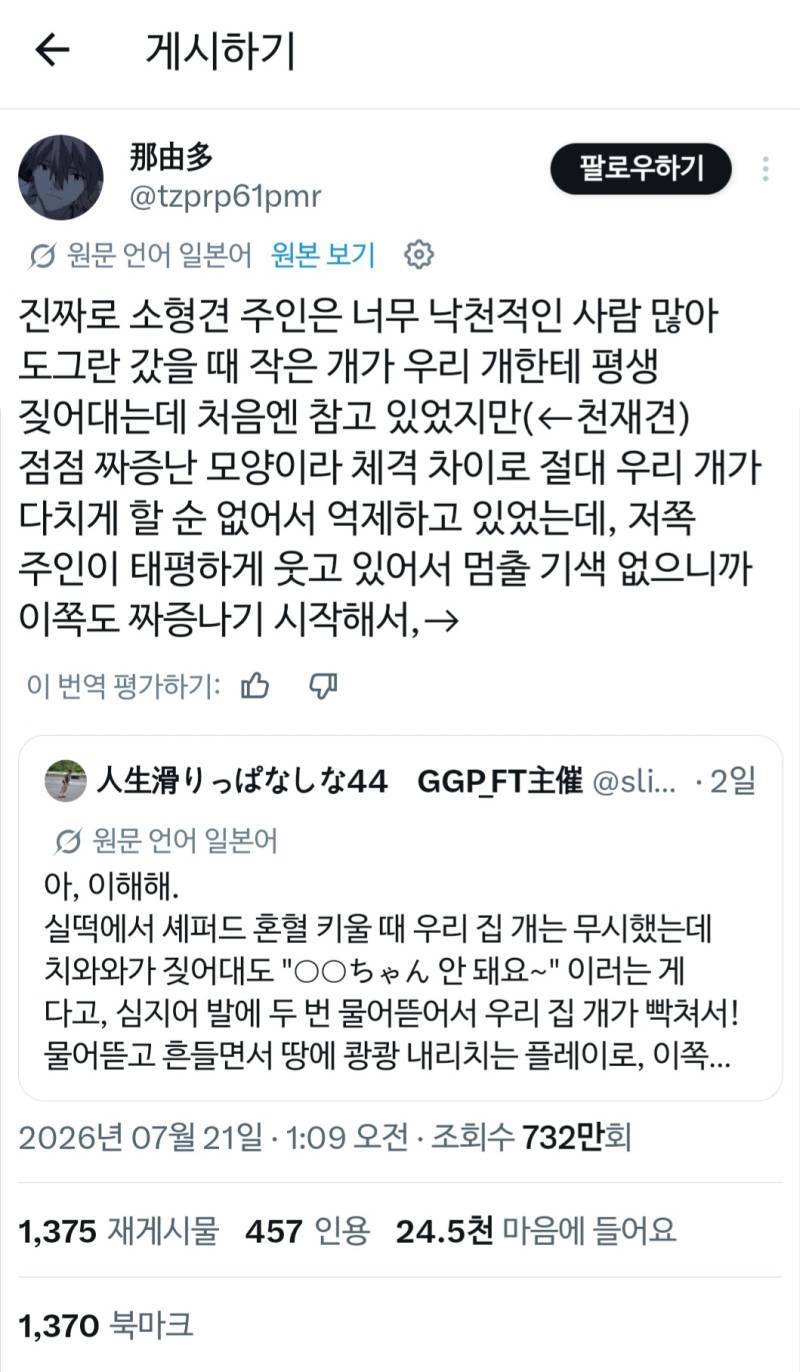 소형견 주인은 너무 낙천적인 사람이 많다의 내용을 보여주는 이미지 관련 이미지 2