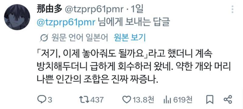 소형견 주인은 너무 낙천적인 사람이 많다의 내용을 보여주는 이미지 관련 이미지 3