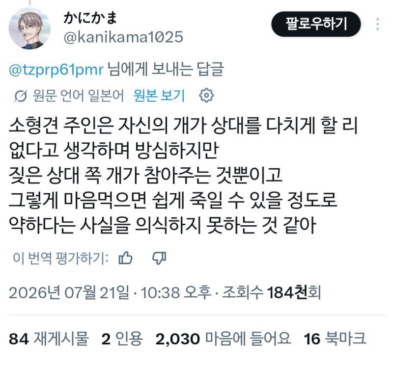 소형견 주인은 너무 낙천적인 사람이 많다의 내용을 보여주는 이미지 관련 이미지 4