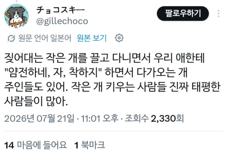 소형견 주인은 너무 낙천적인 사람이 많다의 내용을 보여주는 이미지 관련 이미지 6