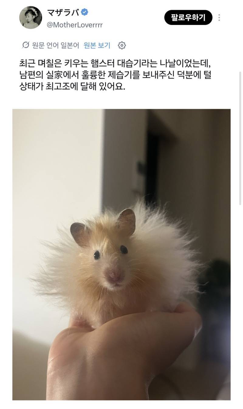 제습기로 뽀송해진 햄스터의 내용을 보여주는 이미지