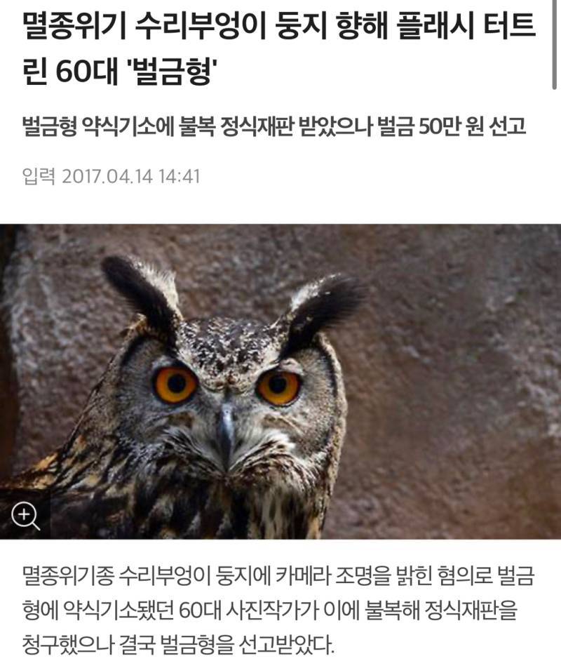 새덕후들의 만행의 내용을 보여주는 이미지