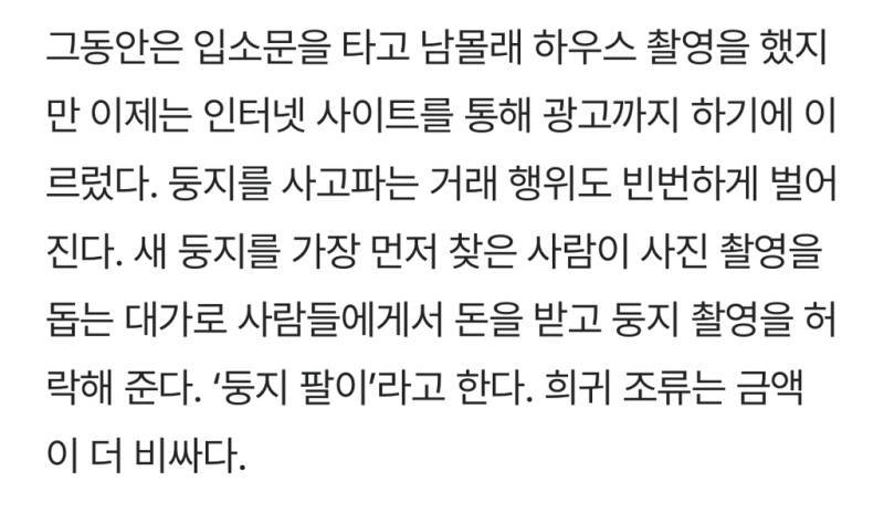 새덕후들의 만행의 내용을 보여주는 이미지 관련 이미지 11