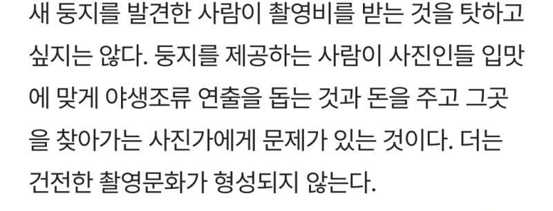 새덕후들의 만행의 내용을 보여주는 이미지 관련 이미지 12