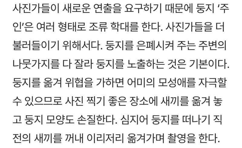 새덕후들의 만행의 내용을 보여주는 이미지 관련 이미지 13