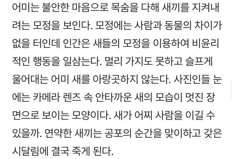 새덕후들의 만행의 내용을 보여주는 이미지 관련 이미지 14