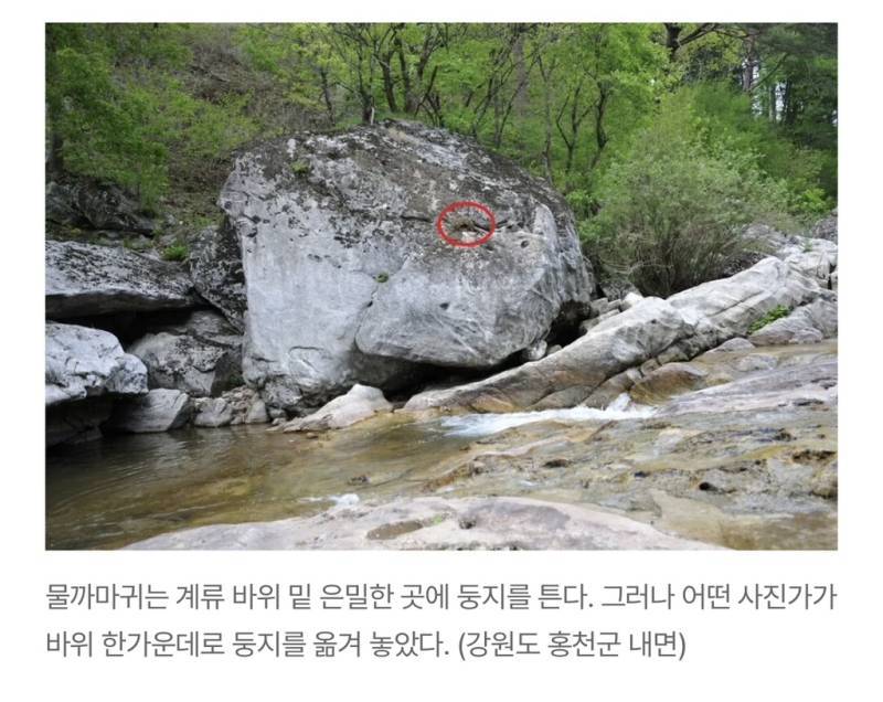 새덕후들의 만행의 내용을 보여주는 이미지 관련 이미지 23