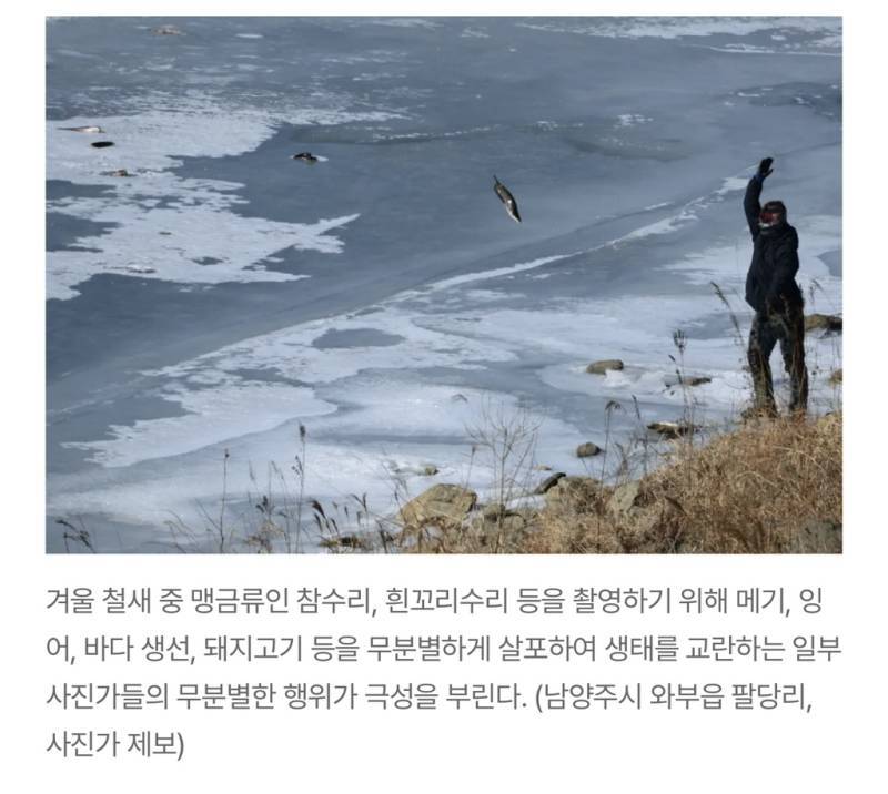 새덕후들의 만행의 내용을 보여주는 이미지 관련 이미지 26