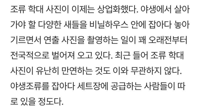 새덕후들의 만행의 내용을 보여주는 이미지 관련 이미지 3