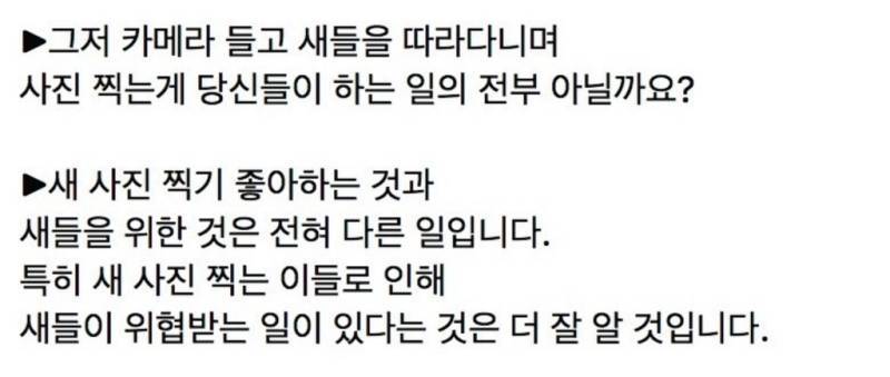 새덕후들의 만행의 내용을 보여주는 이미지 관련 이미지 30
